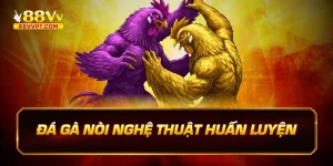 Đá gà nòi nghệ thuật huấn luyện