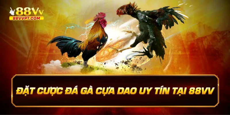 Đặt cược đá gà cựa dao uy tín tại 88vv