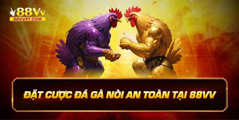 Đặt cược đá gà nòi an toàn tại 88vv.