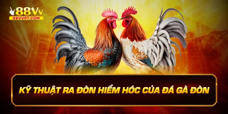 Kỹ thuật ra đòn hiểm hóc của đá gà đòn.