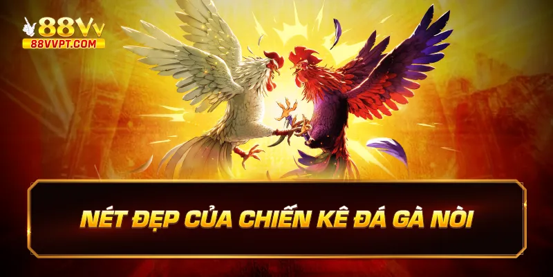 Nét đẹp của chiến kê đá gà nòi.