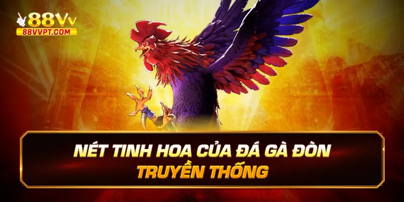 Nét tinh hoa của đá gà đòn truyền thống.