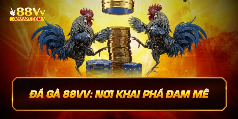 Đá gà nơi khai phá đam mê